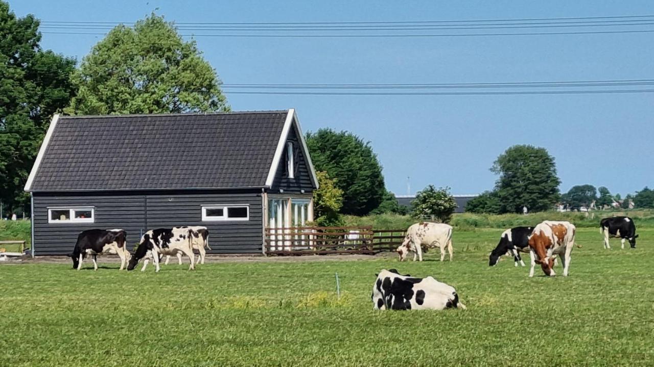 City Farmers Lodge, A Guesthouse With A Skyline View In Rural Amsterdam Exteriér fotografie