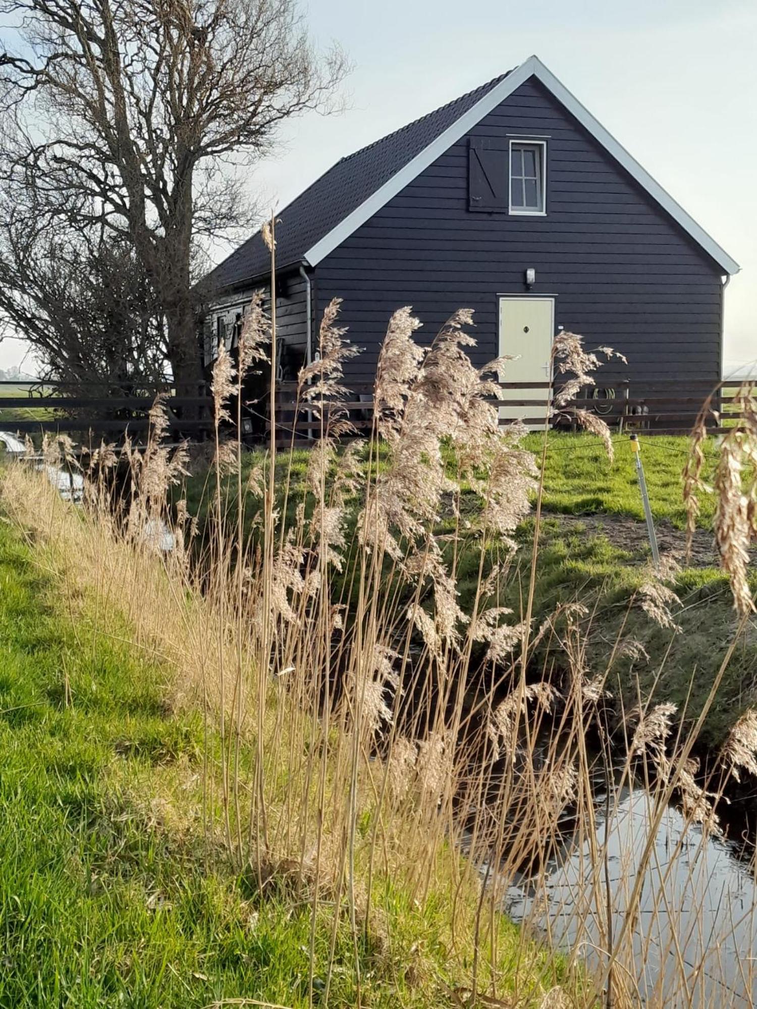 City Farmers Lodge, A Guesthouse With A Skyline View In Rural Amsterdam Exteriér fotografie